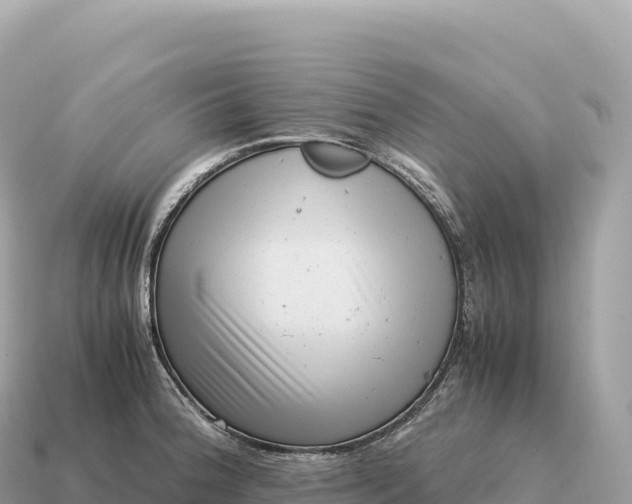 X0000115141188200911101701