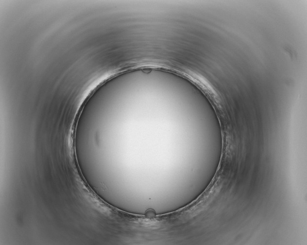 X0000115141190200911101701