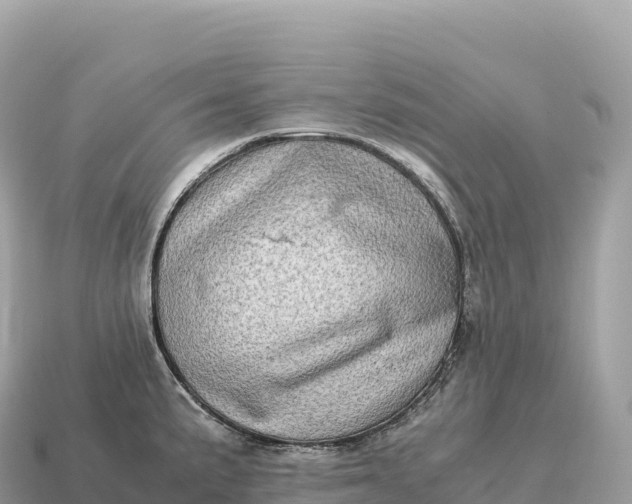 X0000115141191200911101701