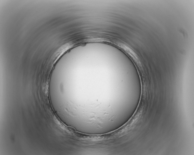 X0000115141193200911101701