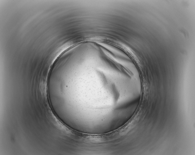 X0000115141194200911101701