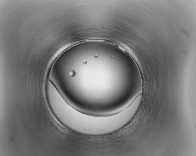 X0000115141195200911101701