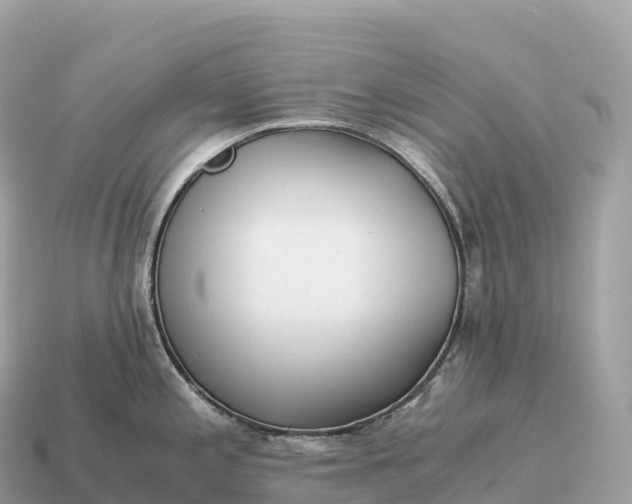 X0000115141197200911101701