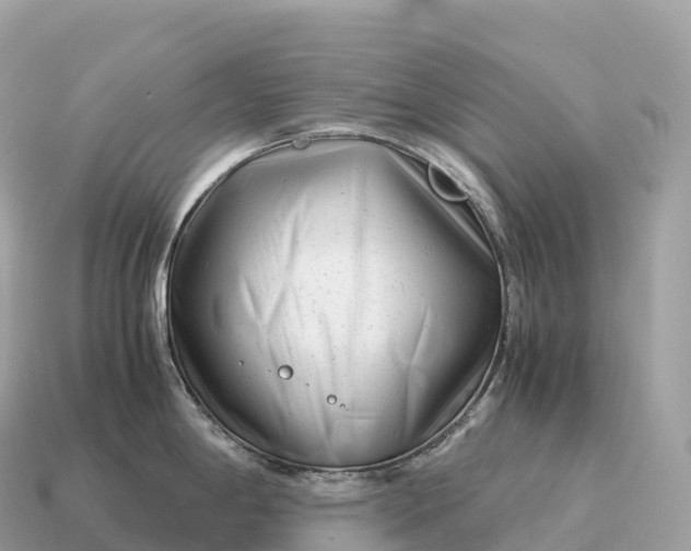 X0000115141198200911101701