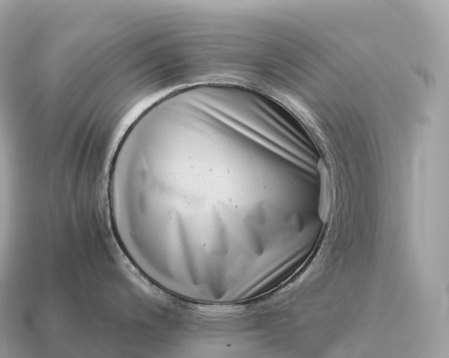 X0000115141200200911101701