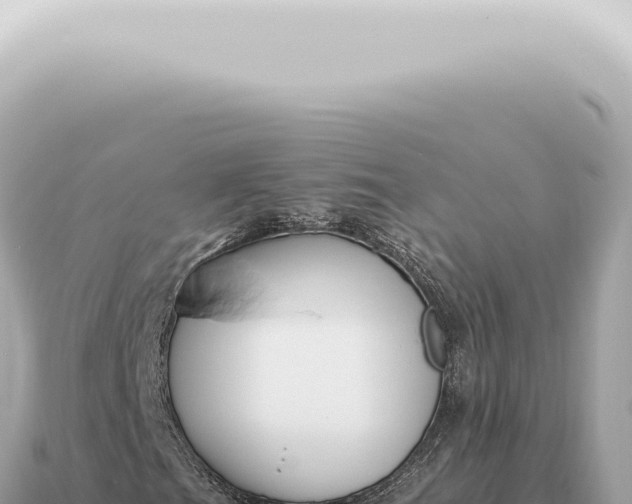 X0000115141201200911101700