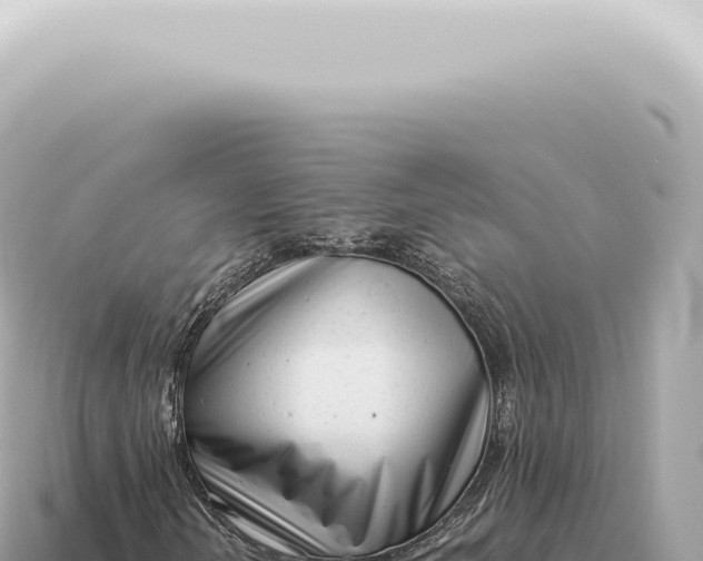 X0000115141202200911101700