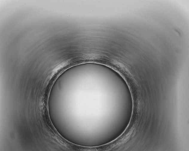 X0000115141210200911101700