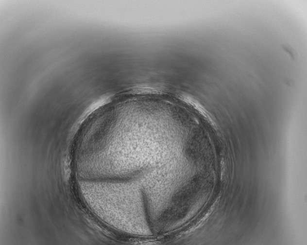 X0000115141213200911101700