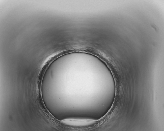 X0000115141214200911101700
