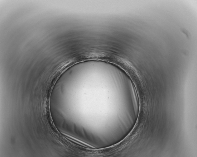 X0000115141217200911101700