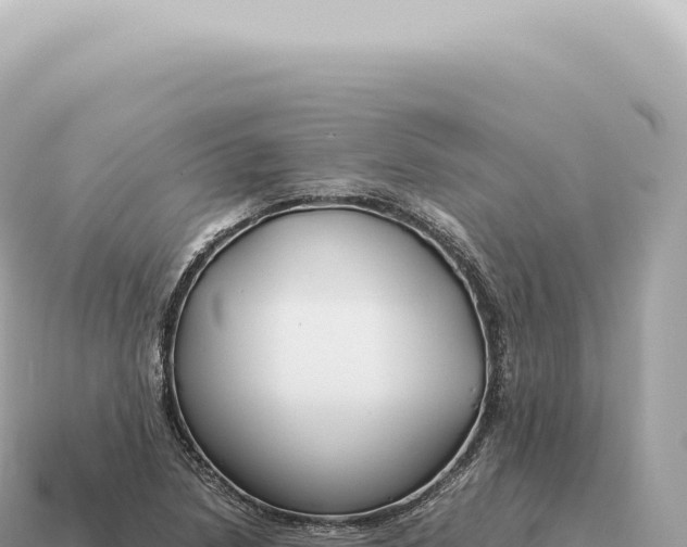 X0000115141218200911101700