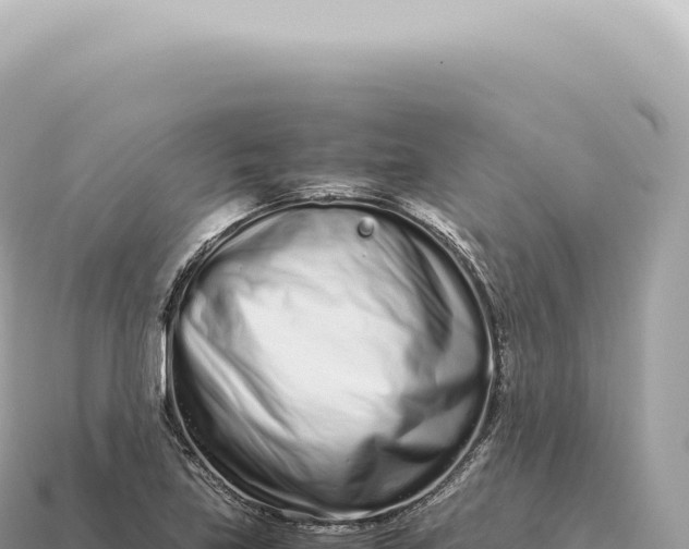 X0000115141219200911101700
