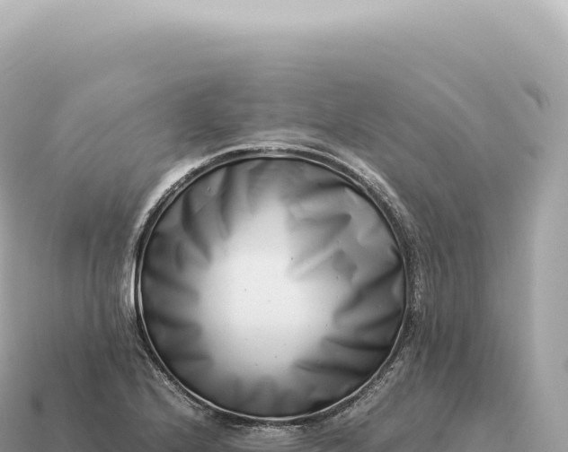 X0000115141224200911101700