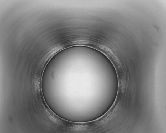 X0000115141225200911101701