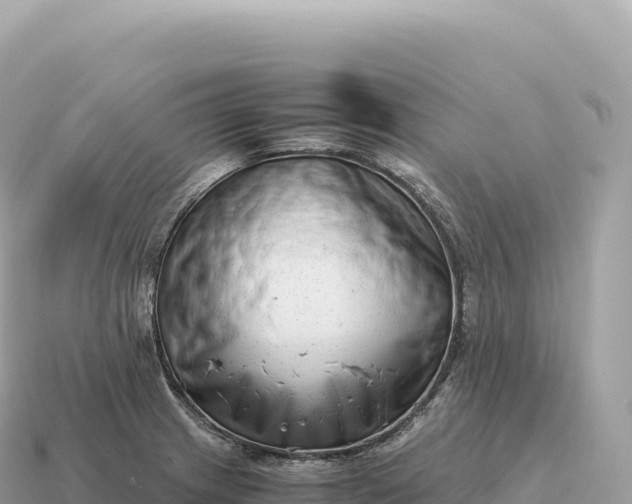 X0000115141233200911101701