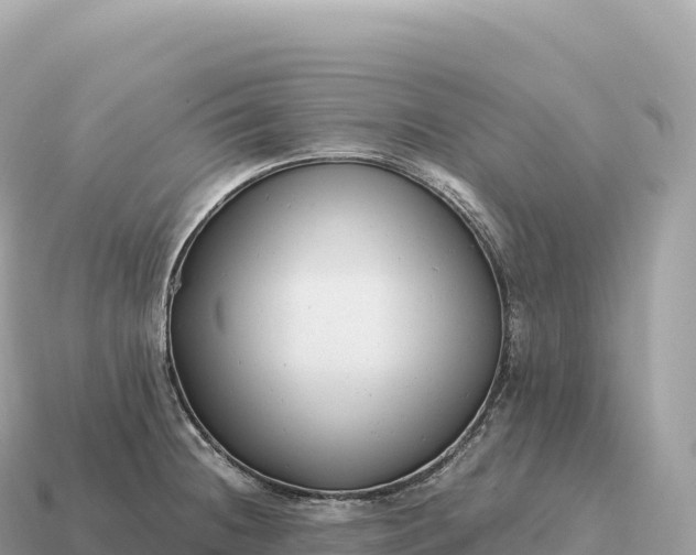 X0000115141236200911101701