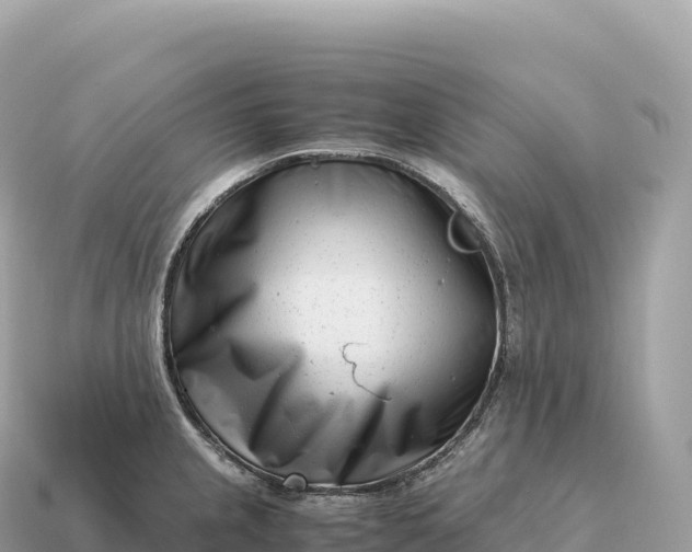 X0000115141237200911101701