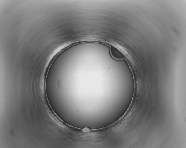 X0000115141238200911101701