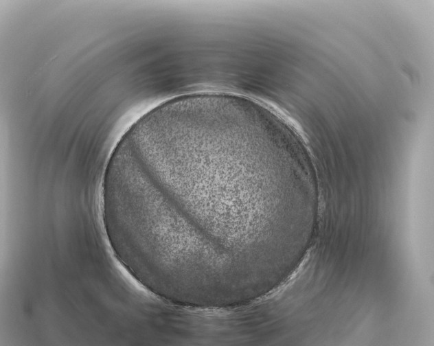 X0000115141239200911101701