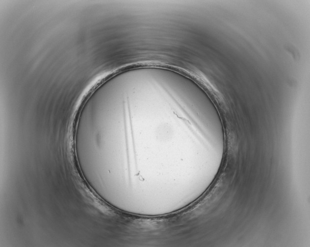 X0000115141240200911101701