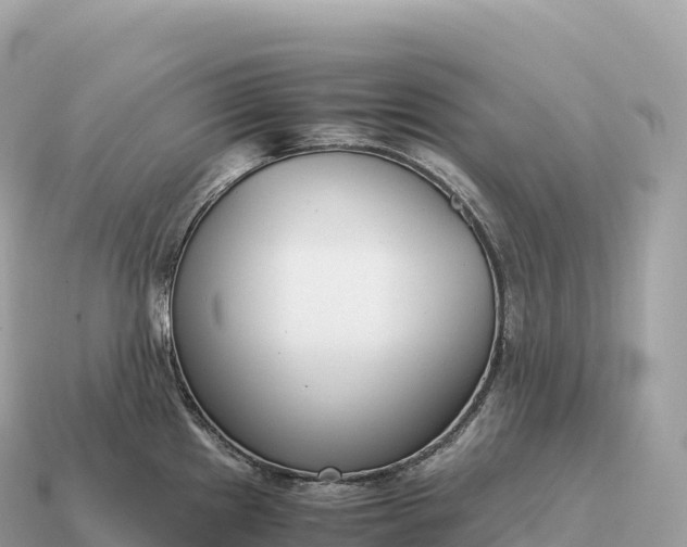 X0000115141241200911101701