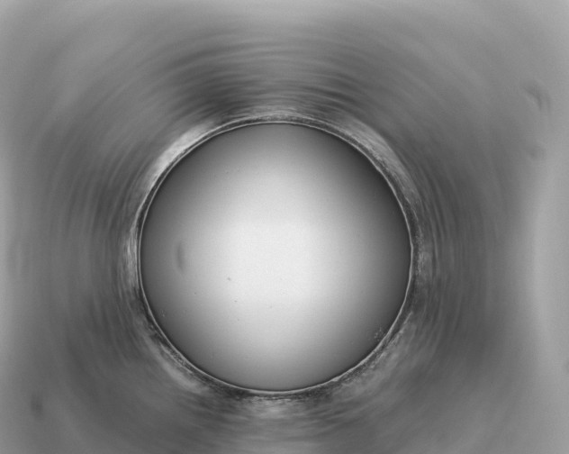 X0000115141242200911101701