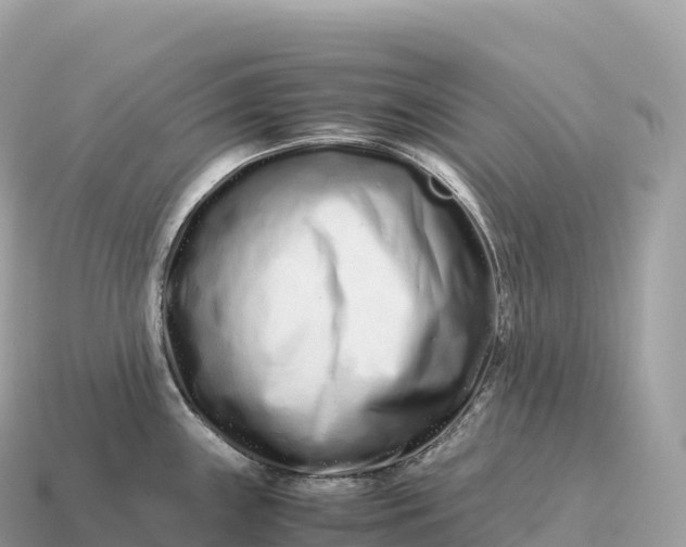 X0000115141243200911101701