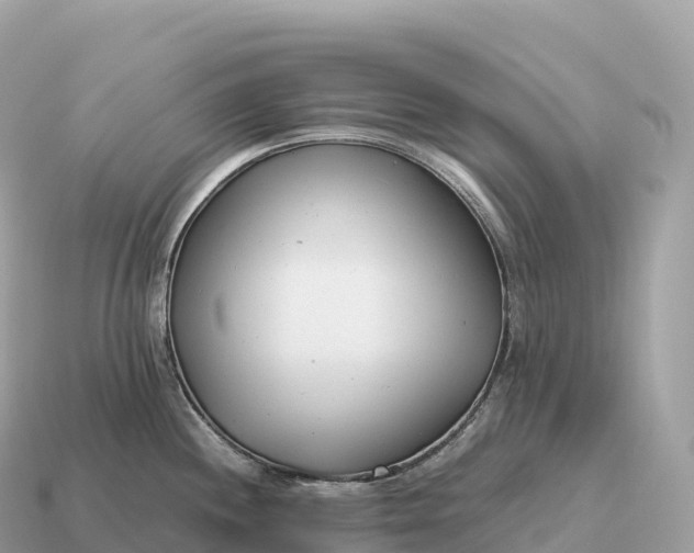 X0000115141244200911101701
