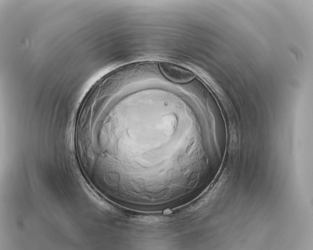 X0000115141246200911101701