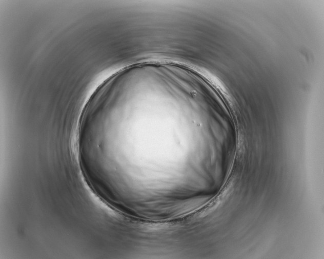 X0000115141247200911101701