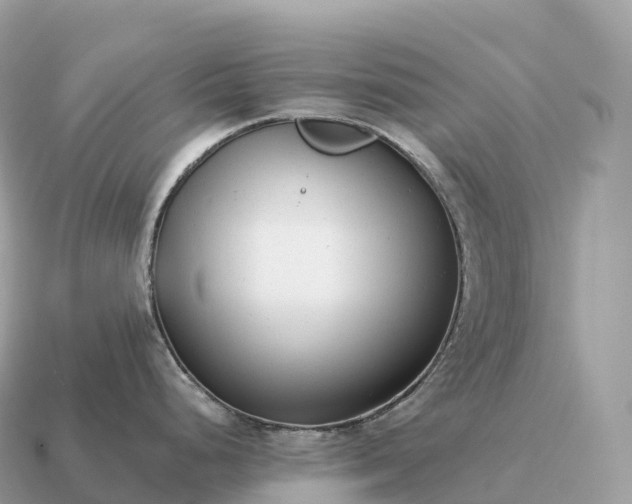 X0000115141248200911101701