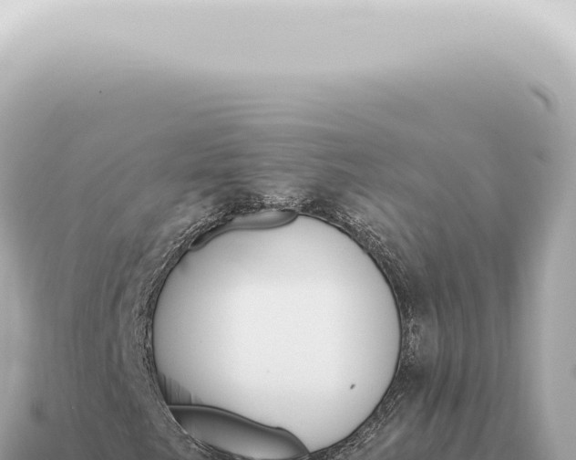 X0000115141249200911101700