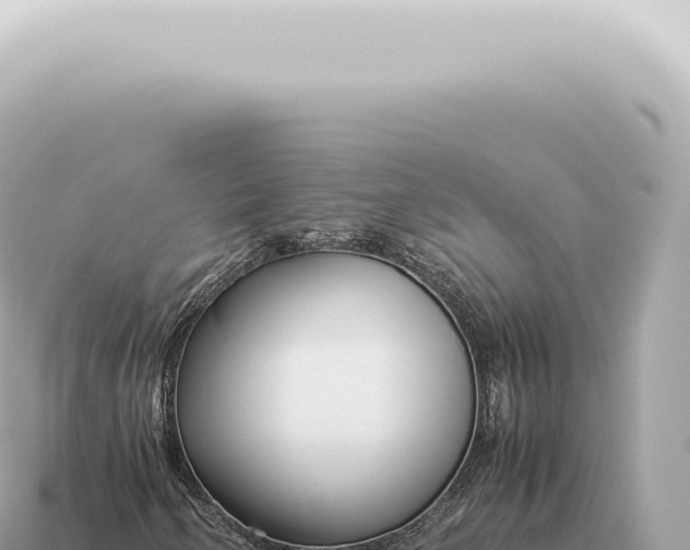 X0000115141250200911101700