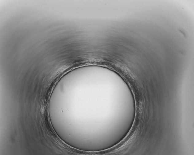 X0000115141257200911101700