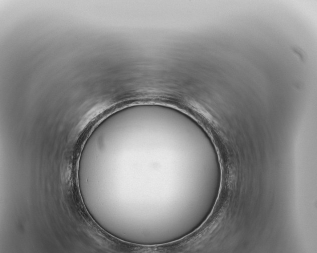 X0000115141259200911101700