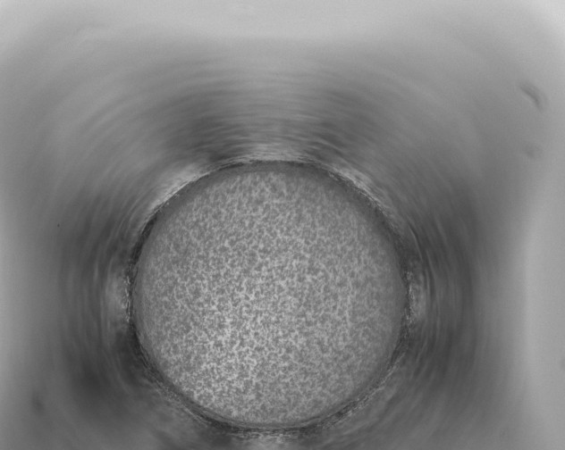 X0000115141266200911101700