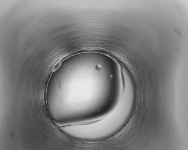 X0000115141273200911101700