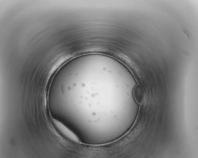 X0000115141274200911101700