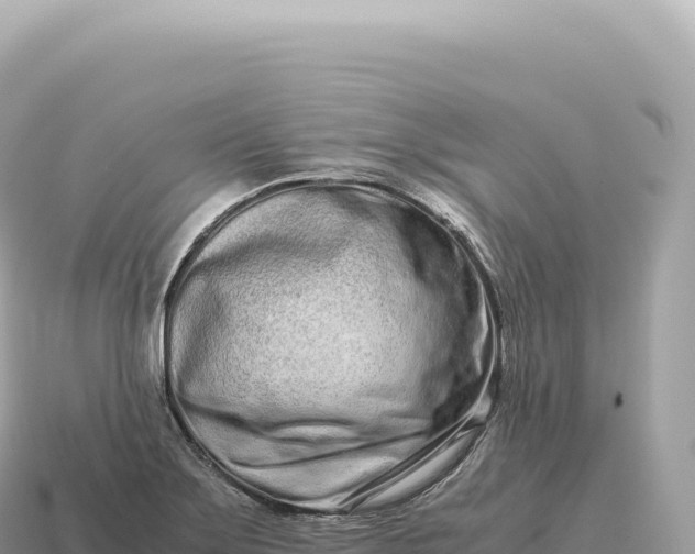 X0000115141275200911101700