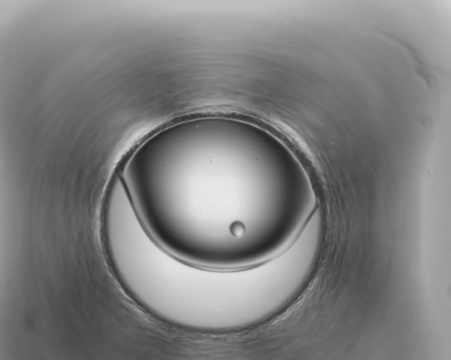X0000115141277200911101700
