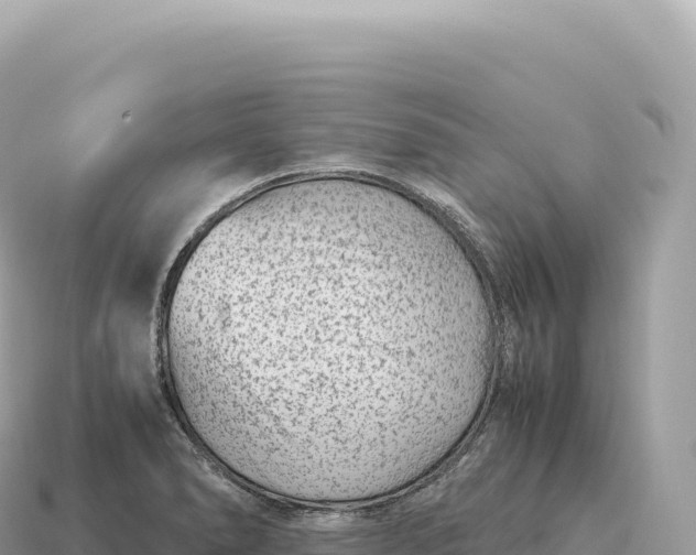 X0000115141278200911101700