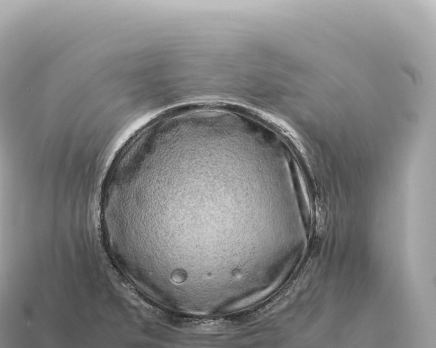 X0000115141279200911101700