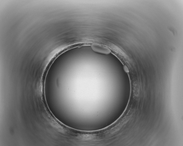 X0000115141280200911101700