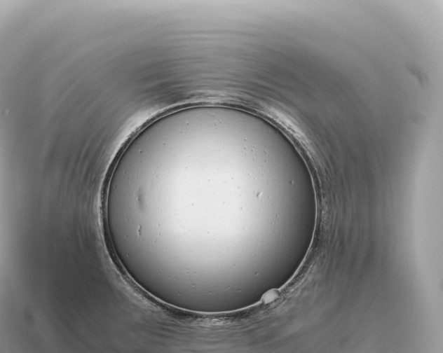 X0000115141283200911101700
