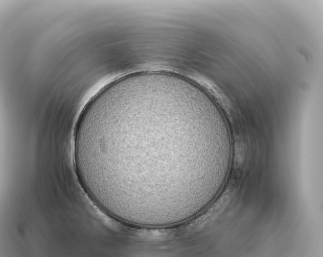 X0000115141286200911101700