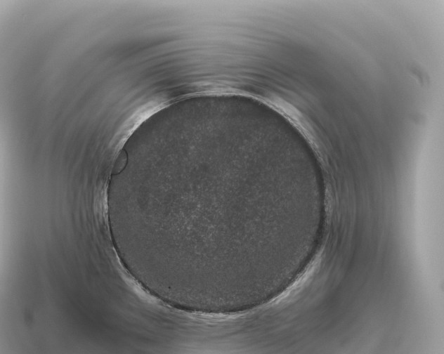 X0000115141289200911101700
