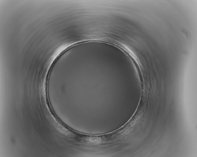 X0000115141291200911101700