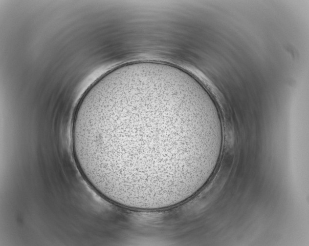 X0000115141294200911101700