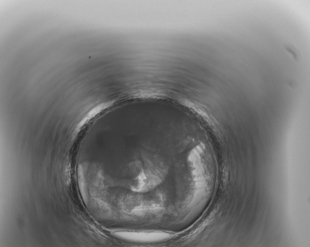 X0000115141306200911101659